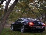Bentley Continental GT by Wald 2006 года